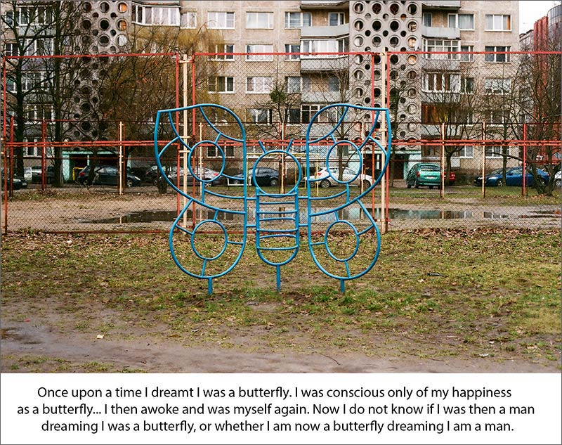 zhuangzi-kaliningrad photo 7