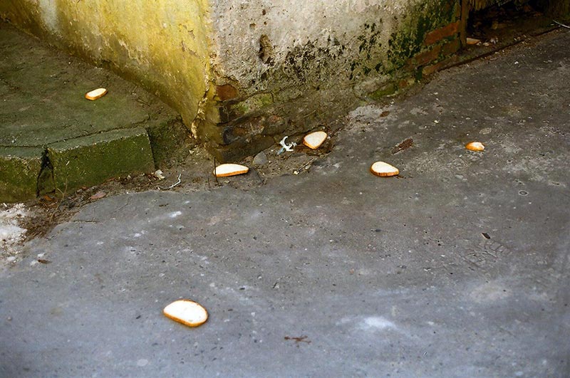 Places We Leave Behind (alternate set) - photo 8